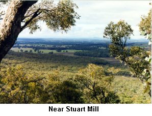 Near Stuart Mill - Click to enlarge