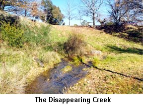 The Disappearing Creek  - Click to enlarge