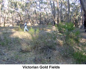 Victorian gold Fields - Click to enlarge