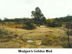 Mudgee's Golden Mud - Click to enlarge