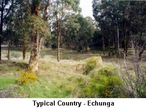 Typical Country - Echunga - Click to enlarge