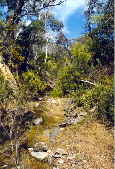 Alluvial Creek - Echunga - Click to Return