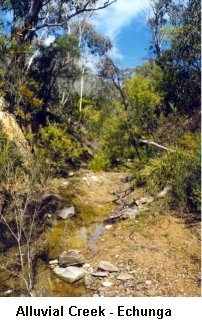 Alluvial Creek - Echunga - Click to enlarge