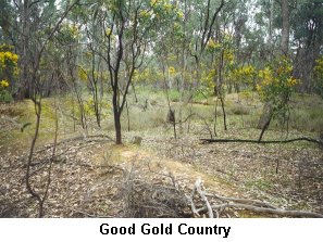 Good Gold Country - Click to enlarge
