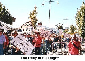 The Rally in Full Flight - Click to enlarge