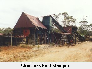 Christmas Reef Stamper - Click to enlarge