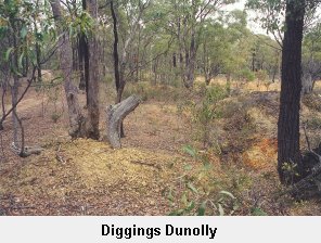 Diggings at Dunolly - Click to enlarge