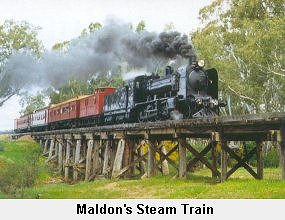 Maldon's Steam Train- Click to enlarge