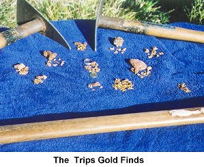 The Trips Gold Finds - Click to enlarge