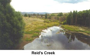 Reid's Creek - Click to enlarge