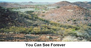 You Can See Forever - Click to enlarge