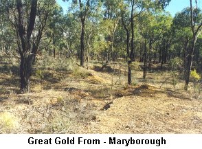 Great Gold - From Maryborough - Click to enlarge