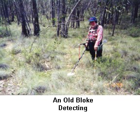 An Old Bloke - Detecting - Click to enlarge
