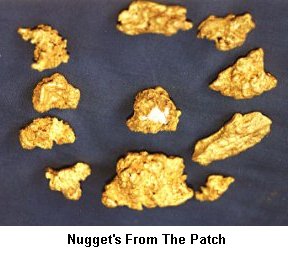 Nuggets From the Patch - Click to enlarge