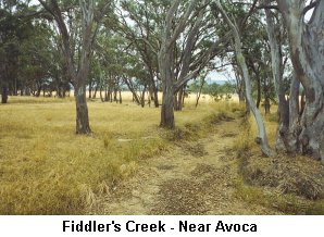 Fiddler's Creek - Near Avoca - Click to enlarge