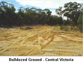 Bulldozed Ground - Central Victoria - Click to enlarge