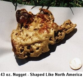 43 oz Nugget - Shaped Like North America