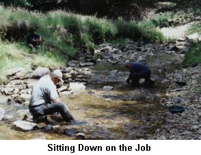 Sitting Down on the Job - Click to enlarge