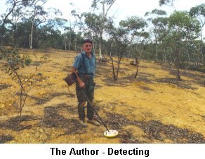 The Author - Detecting - Click to enlarge