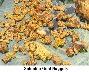 Saleable Gold Nuggets - Click to enlarge