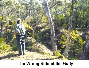 The Wrong Side of the Gully - Click to enlarge