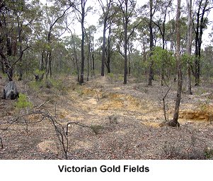 Victorian Gold Fields - Click to enlarge