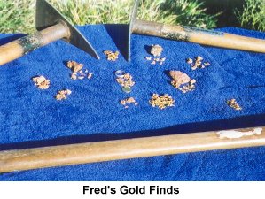 Fred's Gold Finds - Click to enlarge