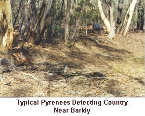 Pyrenees Detecting Country - Near Barkly - Click to enlarge