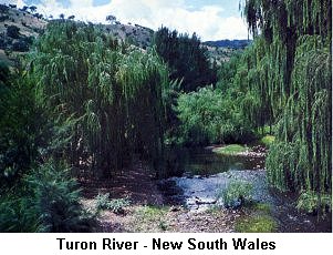 Turon River - Click to enlarge