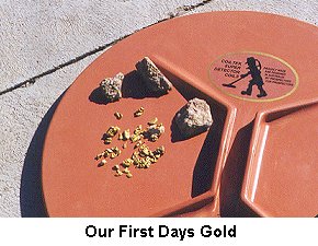First Days Gold - Click to enlarge