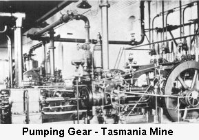 Pumping Gear - Tasmania Mine - Click to enlarge
