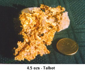 4.5 oz Nugget Found Talbot - Victoria