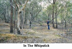 The Whipstick - Bendigo - Click to enlarge