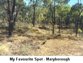 My Favourite Spot - Maryborough - Click to enlarge