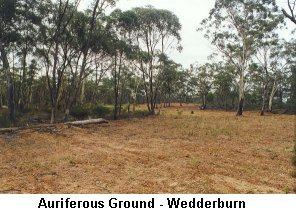 Auriferous Ground - Wedderburn - Click to enlarge