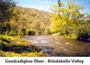 Goodradigbee River - Brindaballa - Click to enlarge