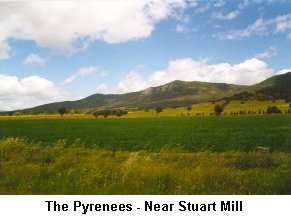 The Pyrenees - Near Stuart Mill - Click to enlarge