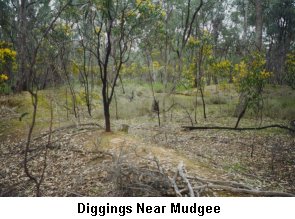 Diggings near Mudgee - Click to enlarge