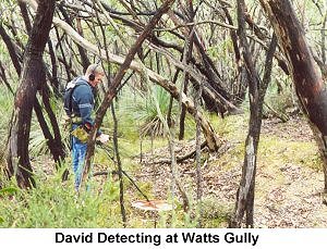 David Detecting at Watts Gully - Click to enlarge