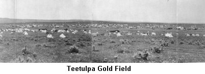 Teetulpa Gold Field - Click to enlarge