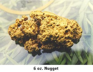 6 oz Nugget