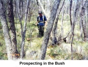 Prospecting in the Bush - Click to enlarge