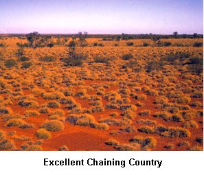 Excellent Chaining Country - Click to enlarge