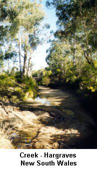 Creek - Hargraves NSW - Click to enlarge